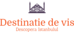 destinatie-de-vis istanbul